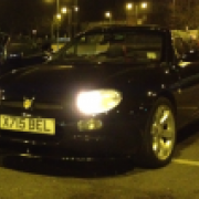 tim-mgf