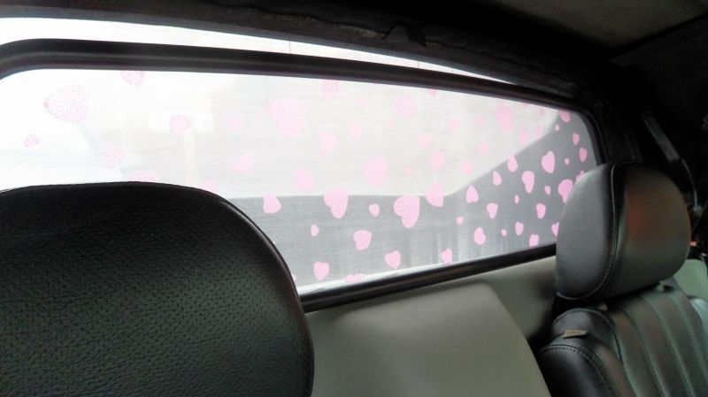Pink windstop in place