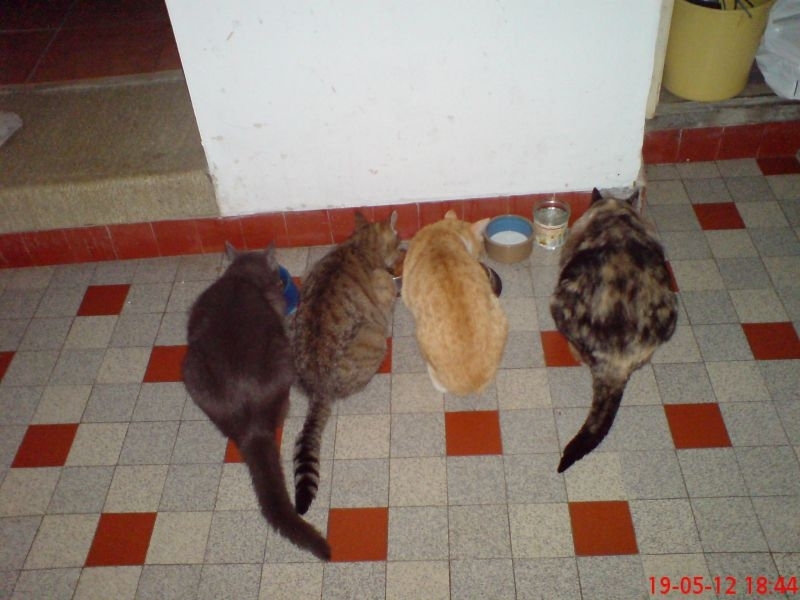 DSC00025